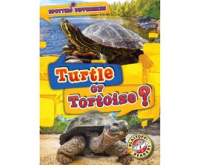 Turtle or Tortoise? by Chang, Kirsten